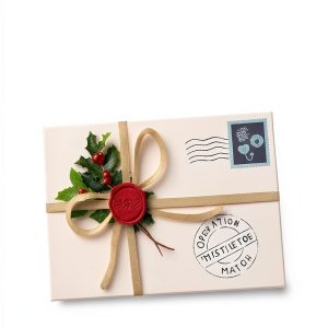 Kindle Store Comedy Book Letters to Mrs Claus-0