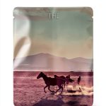 Southwest Western Saga Kindle eBook – 459 Page Western Fiction Classic-0