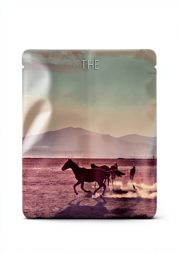 Southwest Western Saga Kindle eBook – 459 Page Western Fiction Classic-0