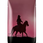 Southwest Western Saga Kindle eBook – 477 Page Frontier Fiction-0