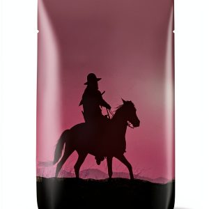 Southwest Western Saga Kindle eBook – 477 Page Frontier Fiction-0